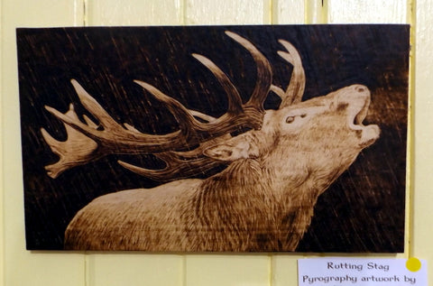 Pyrography Art - Rutting Stag