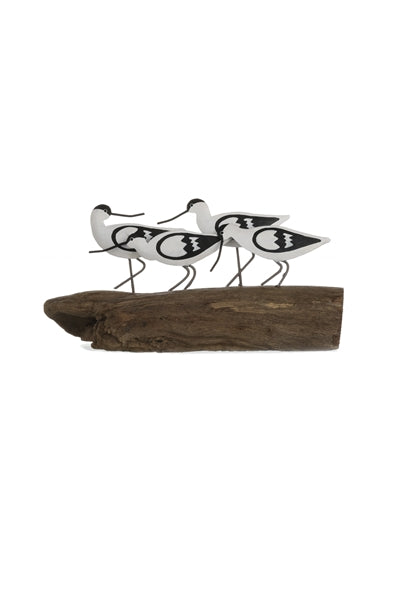 Avocets on Log