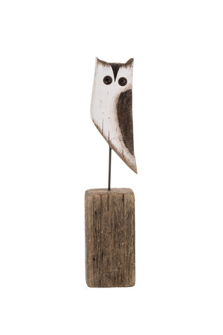 Barn Owl on a wooden block