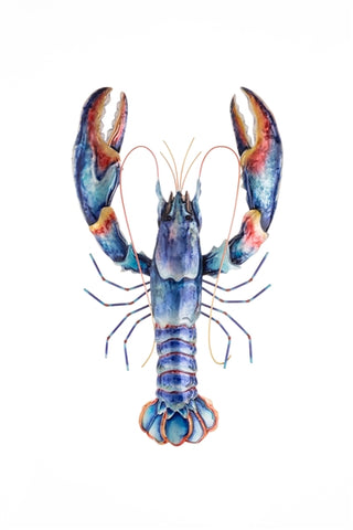 Metal Wall Art - Blue Lobster