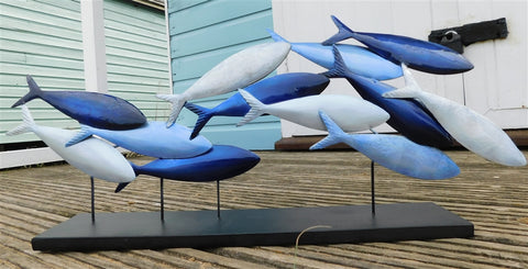 Mounted Blue Shoal
