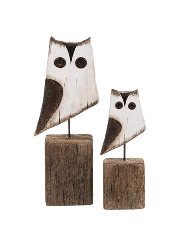 Pair of Owls on Block