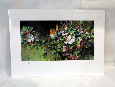 Print - Robin and Apple Blossom
